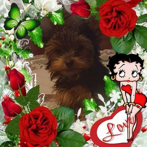 Meet your Posher, Yolanda